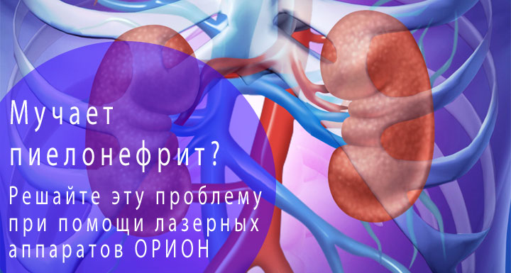Диагностика и лечение пиелонефрита (Александров) | Парацельс